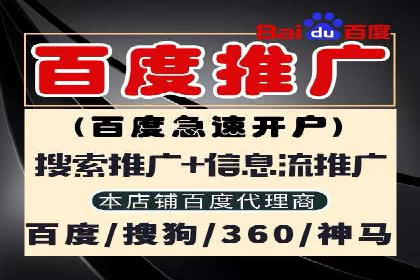 百度推广中SEO优化的成功案例分析